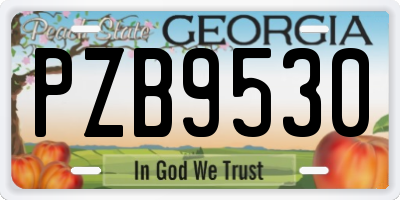 GA license plate PZB9530