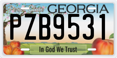 GA license plate PZB9531
