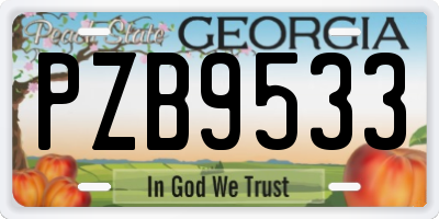 GA license plate PZB9533