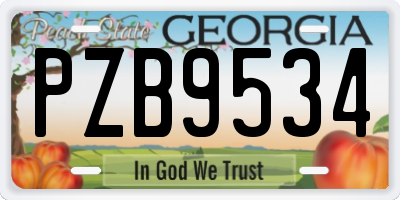 GA license plate PZB9534