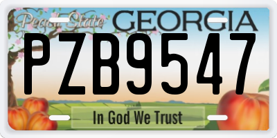 GA license plate PZB9547