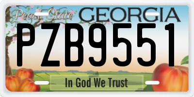 GA license plate PZB9551
