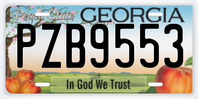 GA license plate PZB9553