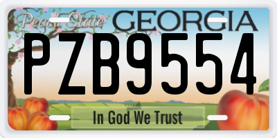 GA license plate PZB9554