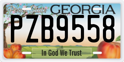 GA license plate PZB9558