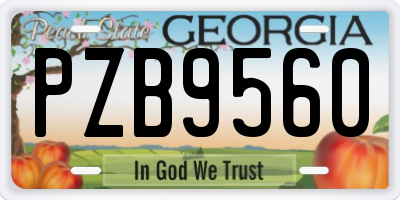 GA license plate PZB9560
