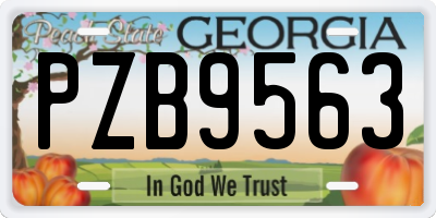GA license plate PZB9563