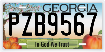 GA license plate PZB9567