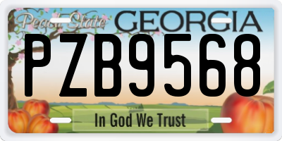 GA license plate PZB9568