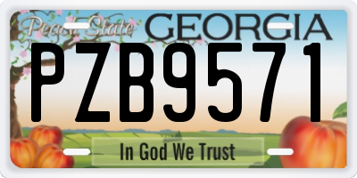 GA license plate PZB9571