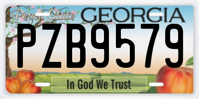 GA license plate PZB9579