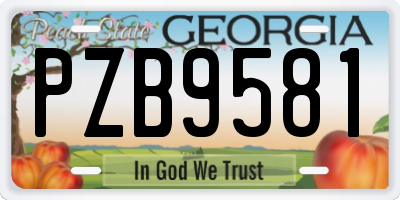 GA license plate PZB9581
