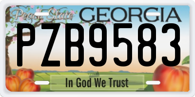 GA license plate PZB9583