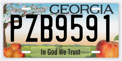 GA license plate PZB9591