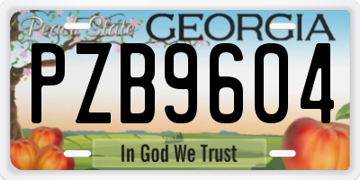 GA license plate PZB9604