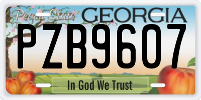GA license plate PZB9607