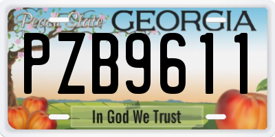GA license plate PZB9611