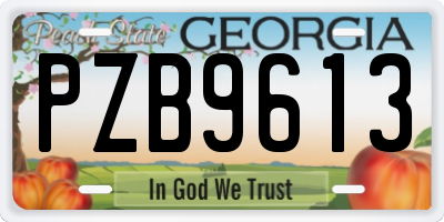 GA license plate PZB9613