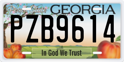 GA license plate PZB9614