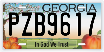 GA license plate PZB9617