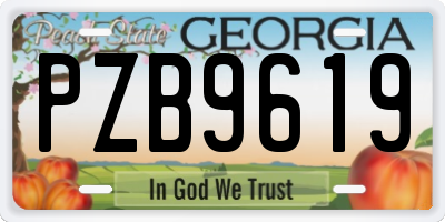 GA license plate PZB9619