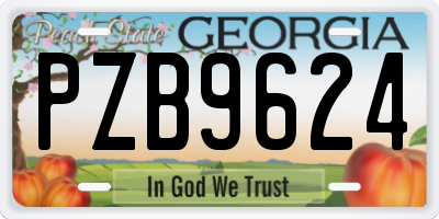 GA license plate PZB9624