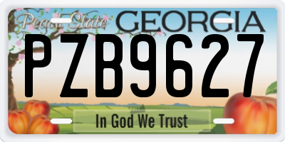 GA license plate PZB9627