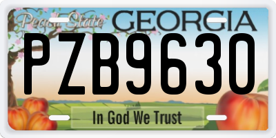 GA license plate PZB9630