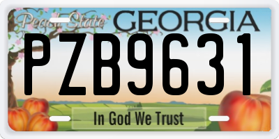 GA license plate PZB9631