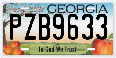 GA license plate PZB9633