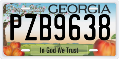 GA license plate PZB9638