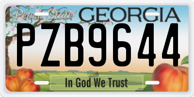 GA license plate PZB9644