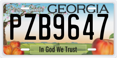 GA license plate PZB9647