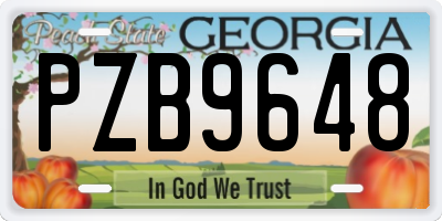 GA license plate PZB9648