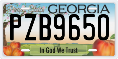GA license plate PZB9650