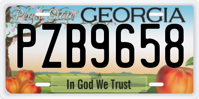 GA license plate PZB9658