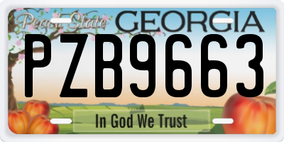 GA license plate PZB9663