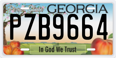GA license plate PZB9664