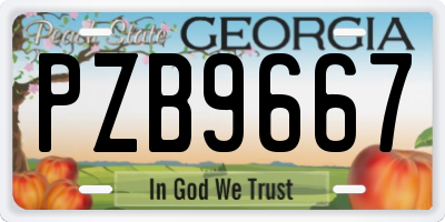 GA license plate PZB9667