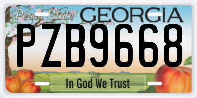 GA license plate PZB9668