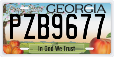 GA license plate PZB9677