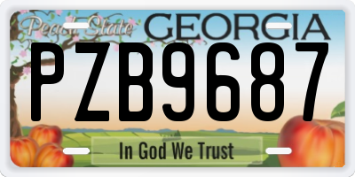 GA license plate PZB9687