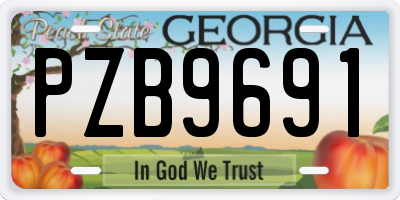 GA license plate PZB9691
