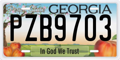 GA license plate PZB9703