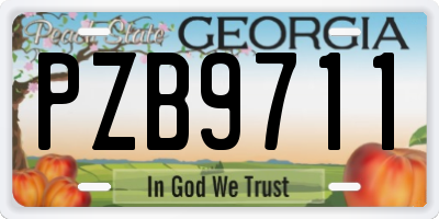 GA license plate PZB9711