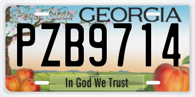GA license plate PZB9714