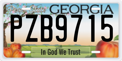 GA license plate PZB9715