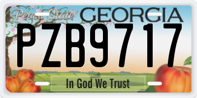 GA license plate PZB9717
