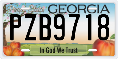 GA license plate PZB9718