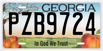 GA license plate PZB9724